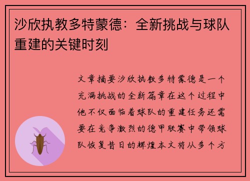 沙欣执教多特蒙德：全新挑战与球队重建的关键时刻